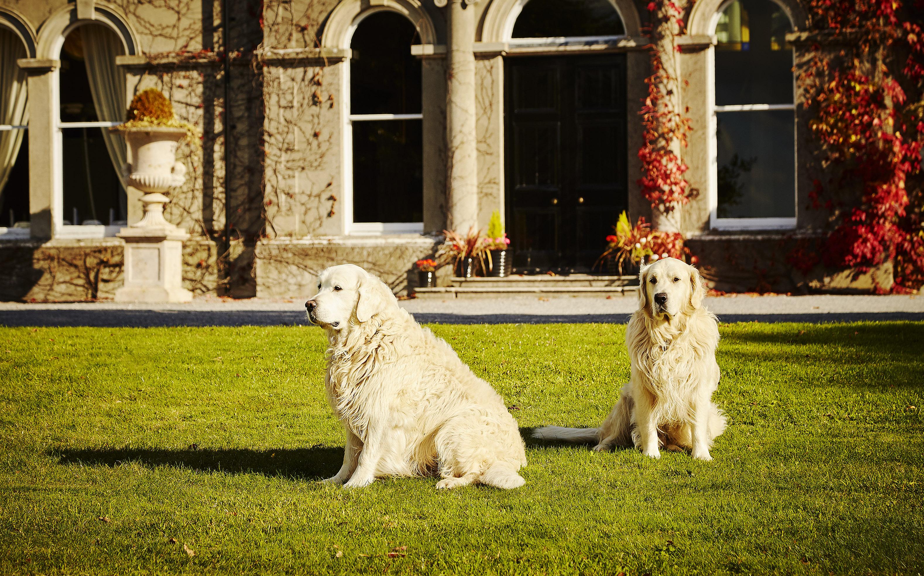 Lyrath Estate 5*